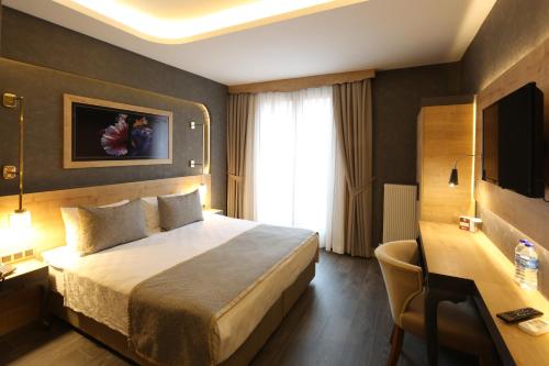 阿马西亚Hisarhan Otel的酒店客房,配有床和电视