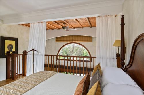 帕福斯极乐豪华酒店的一间卧室设有一张床和一个窗口