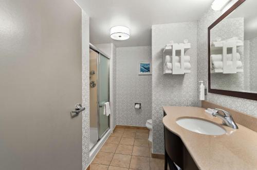 亚历山德里亚亚历山德里亚南部贝尔沃堡汉普顿套房酒店的一间带水槽和卫生间的浴室