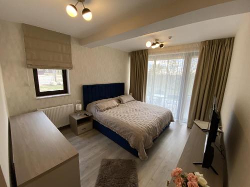 科马尔尼克Pensiunea PIRI LAND的一间卧室设有一张床和一个大窗户