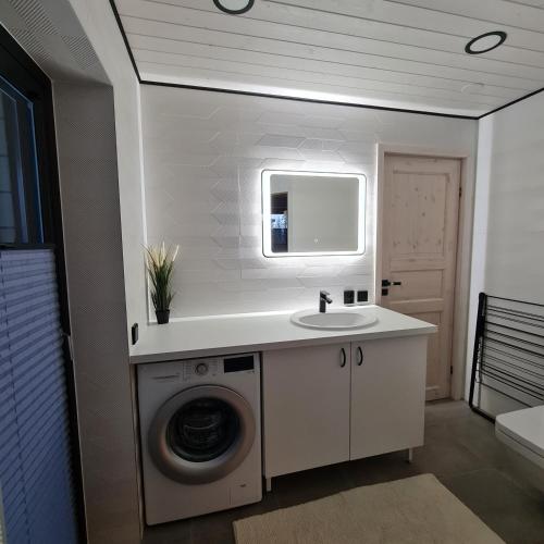 索特Iso-Syöte Villa Remo的一间带洗衣机和水槽的浴室
