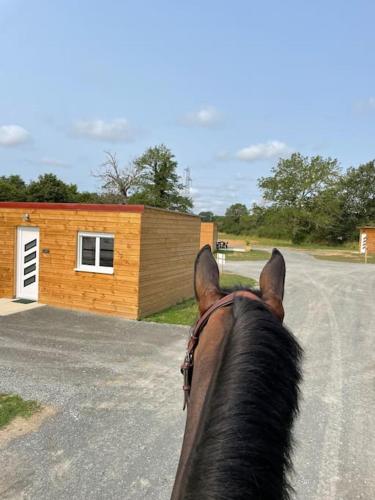 ParenceLes Chalets du Mancel : Studio June - 24H du Mans - Bouleries Jump -的在建筑物前骑马的人