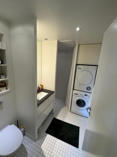哥本哈根Cute Pug Guest Room的一间带水槽和洗衣机的浴室
