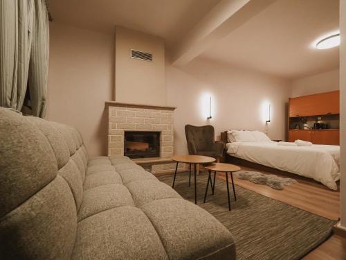 埃拉蒂特里卡隆Elati Leisure Suites & Apartments的带沙发、床和壁炉的客厅
