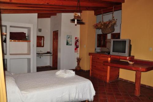 维拉卡洛斯帕兹Cabañas Terrazas del Sol的一间卧室配有一张床和一张书桌及电视