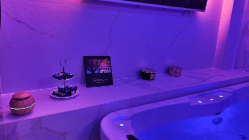 达鲁瓦尔Ginko sobe Daruvar的紫色浴室,配有水槽和书籍