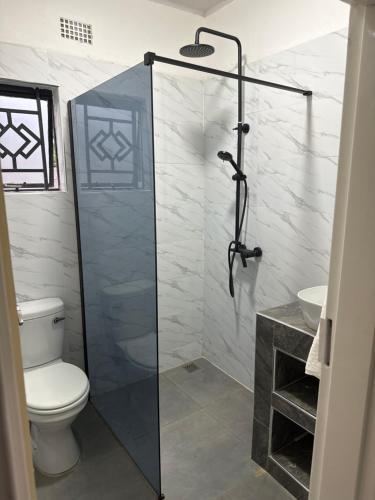 利文斯顿White Rhino apartments & tours的带淋浴、卫生间和盥洗盆的浴室