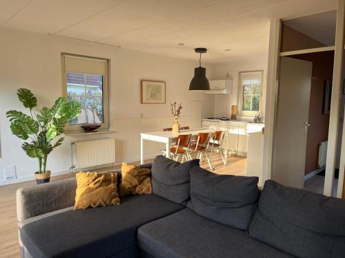 圣尼古拉斯哈Vakantiewoning 'Eysinga State'的一间带灰色沙发的客厅和一间厨房