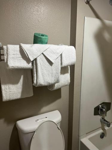 圣安东尼奥霍尔马克套房酒店的一间带卫生间的浴室和墙上的毛巾