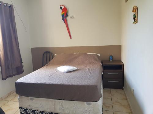 马瑙斯VilaVerin Apartments的一间卧室配有一张床和一个墙上有鹦鹉的梳妆台。