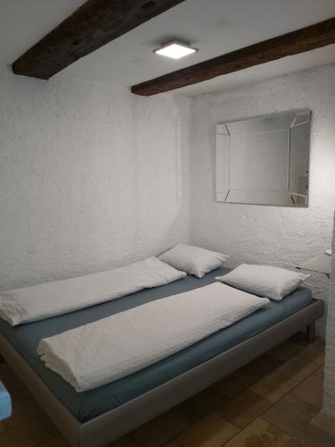 索洛图恩Solothurn的一间卧室,配有两张床