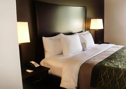 Woodward伍德沃德康福特茵酒店的卧室配有一张带白色床单和枕头的大床。