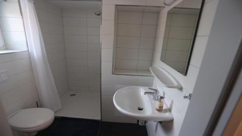 科斯维格Feriendorf am Flämingbad Bungalow Nummer 23的一间带水槽、卫生间和镜子的浴室