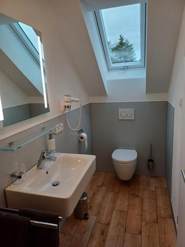 吉贝尔施塔特Bianca's Ferienwohnungen的一间带水槽、卫生间和天窗的浴室
