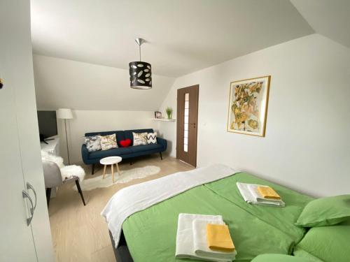 Şura MareVilla Luiza的一间卧室配有绿色的床和沙发