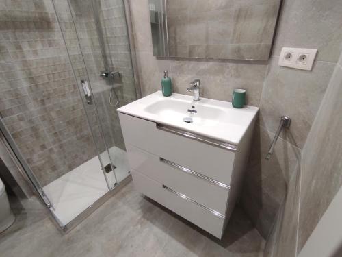 毕尔巴鄂Bonito Apartamento en Zamakola的一间带水槽和淋浴的浴室