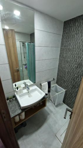 卡萨布兰卡Cosy Appartement Au Centre de Casablanca的一间带水槽和镜子的浴室
