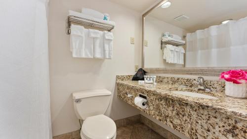 五月岬郡La Mer Beachfront Resort的一间带卫生间、水槽和镜子的浴室