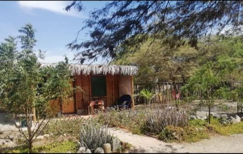曼克拉Maison Nim的花园中带草屋顶的小房子
