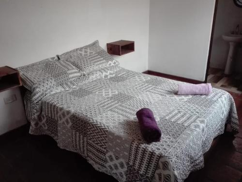马德普拉塔Casa del Bosque的一张紫色的睡床,坐在睡床顶