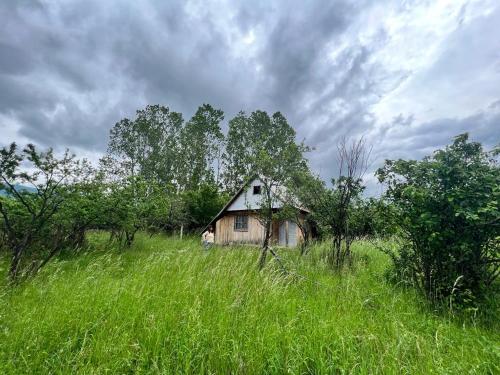 卡赞勒克Bulgaria Countryside House Tiny Villa Cottage by Mountains of Kazanlak的一片高大的草地上的一座老房子