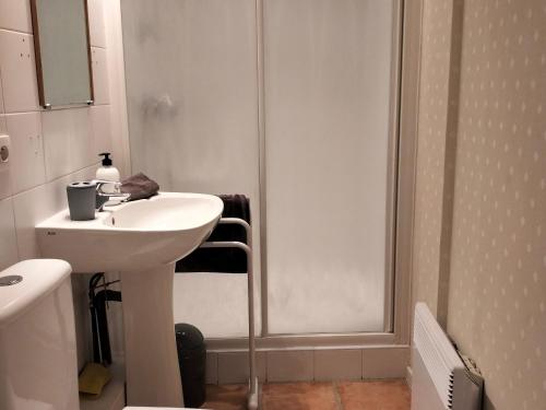 维拉尔-德朗Appartement Villard-de-Lans, 4 pièces, 7 personnes - FR-1-761-12的一间带水槽和淋浴的浴室