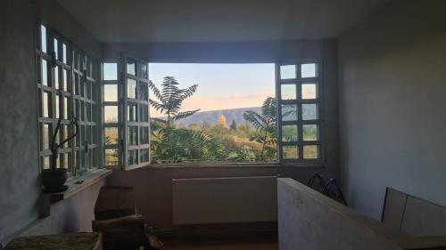 第比利斯Hostel Ocean的客房设有山景大窗户。
