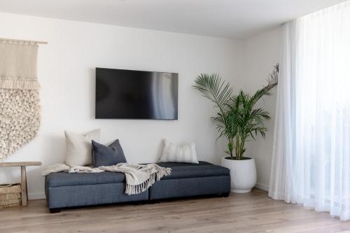 凯阿玛Oceanview Kiama Luxury Coastal Accommodation的客厅配有蓝色沙发和植物