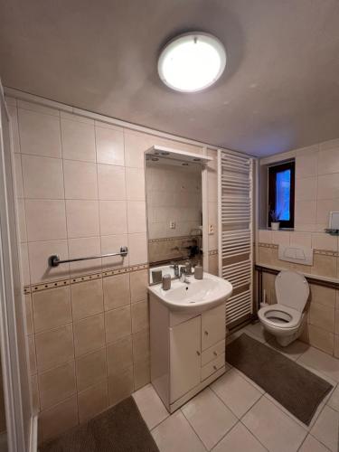高塔特拉山Apartman u Lukyho的一间带水槽和卫生间的浴室