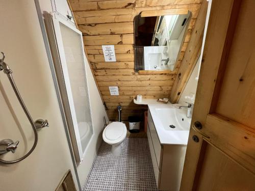 塞拉内瓦~Chalet_Rifugio tra i boschi~的一间带卫生间、水槽和镜子的浴室