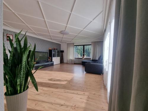 策尔阿姆哈尔梅尔斯巴赫Tannenblick的带沙发和盆栽植物的客厅