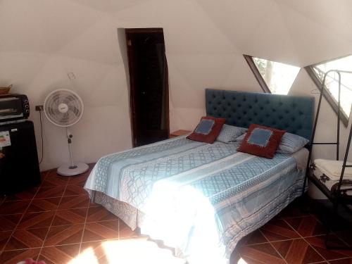 派瓦诺Hermoso Domo privado para 2 personas con tinaja-Cochiguaz Valle De Elqui的一间卧室配有蓝色的床和红色枕头