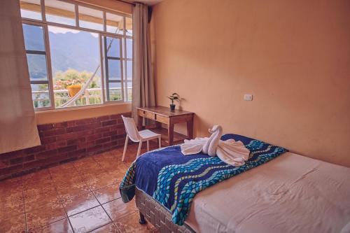 圣佩德罗拉拉古纳Amigos的一间卧室配有一张带书桌的床和窗户。