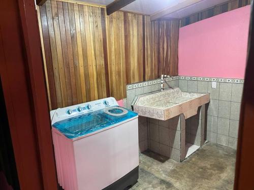 福尔图纳Casa Nativo Spring Arenal的一间带洗衣机和水槽的浴室