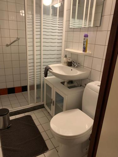 拉纳肯Ferias E55的浴室配有卫生间、盥洗盆和淋浴。
