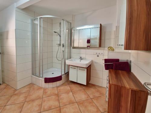 林道ADORIS FERIENWOHNUNGEN auf der Lindauer Insel的带淋浴、盥洗盆和镜子的浴室