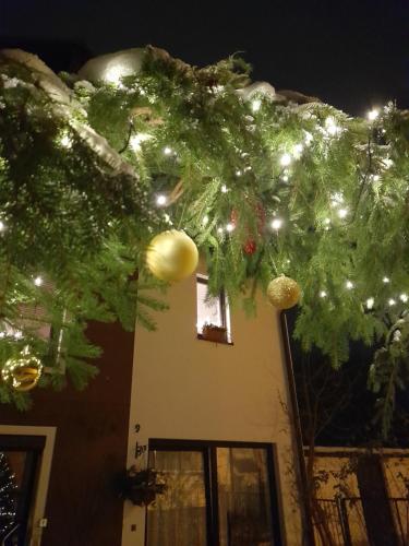 开姆尼茨Wildes Paradies,135 qm Ferienwohnung im Naturgarten的圣诞灯和圣诞树的房子
