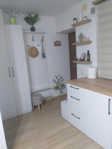 锡盖图马尔马切伊Fully Furnished Studio的厨房铺有木地板,配有白色橱柜。