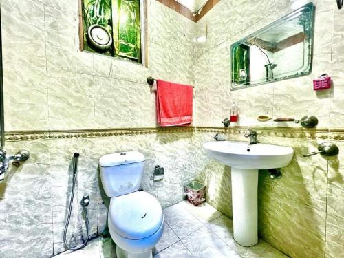 伊斯兰堡Family Apartment No 2 ISB F-11的一间带卫生间和水槽的浴室