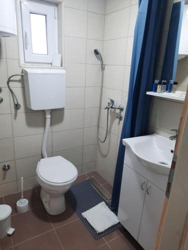 皮罗特Kladenče的一间带卫生间和水槽的浴室