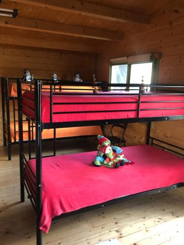 MontblanquetRefugi MARILLUNA的两张双层床,红色毯子上挂着泰迪熊