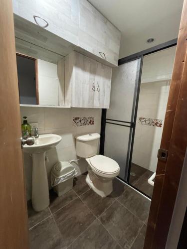 贝约Amplio apartamento en Niquia的浴室配有卫生间、盥洗盆和淋浴。