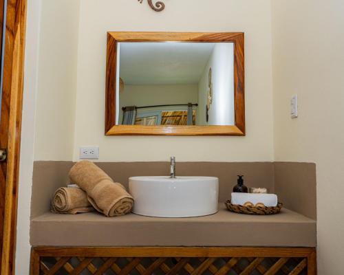 El Paredón Buena VistaGecko Hotel的一间带水槽和镜子的浴室