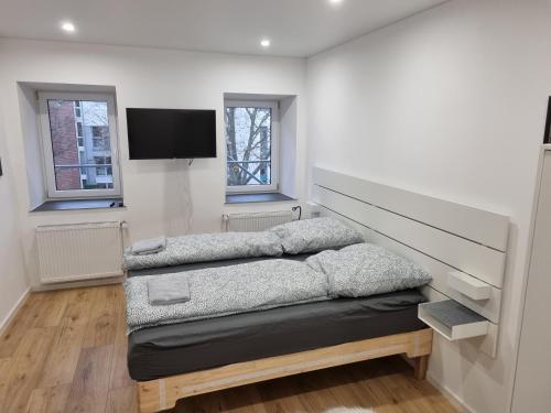 凯撒斯劳滕City Central Apartment House的客房设有两张床和一台平面电视。