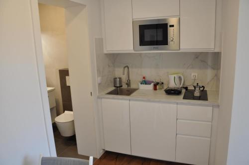 卢布尔雅那Apartments Trnovo的白色的厨房配有水槽和微波炉
