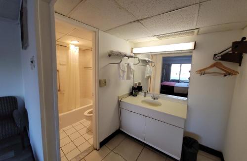 纽堡Newburgh Inn的一间带水槽、淋浴和卫生间的浴室
