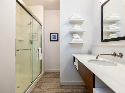 PrattFlag Point Inn and Suites Pratt的一间带水槽和淋浴的浴室