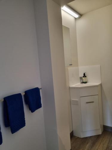 霍巴特Lords Rest Apartment - Private and Central with Free Parking and Great WIFI的浴室提供2条蓝色毛巾和水槽。