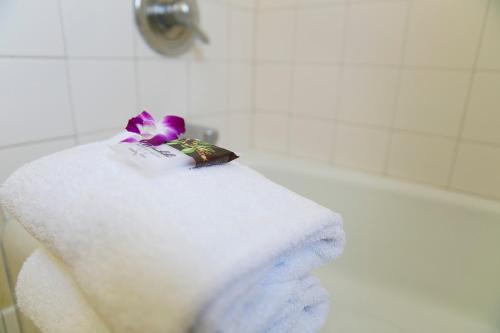 檀香山威基基度假酒店的浴缸顶部的白色毛巾