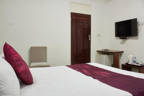 ZombaMango Lodge Zomba的一间卧室配有一张带红色枕头的床和一台电视